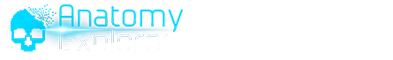 Logotipos de Virtual Medicine y Arloon